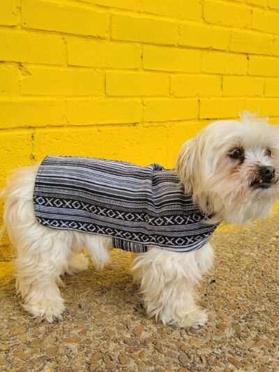 Dog Poncho - Salt and Pepper